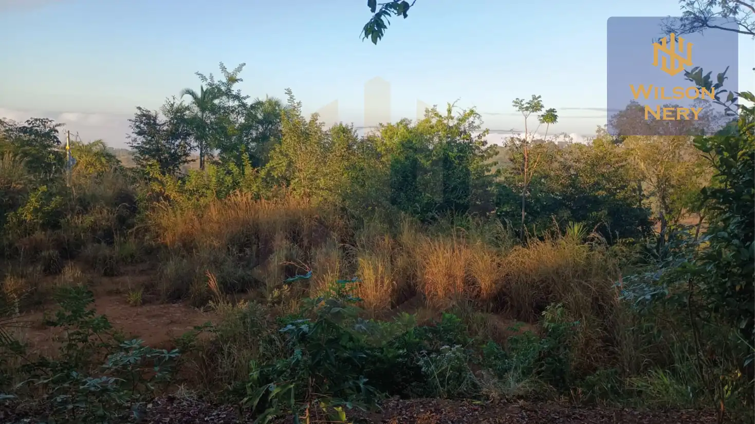 Corumba7