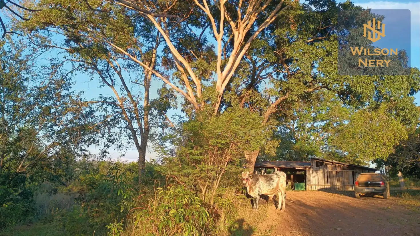 Corumba8