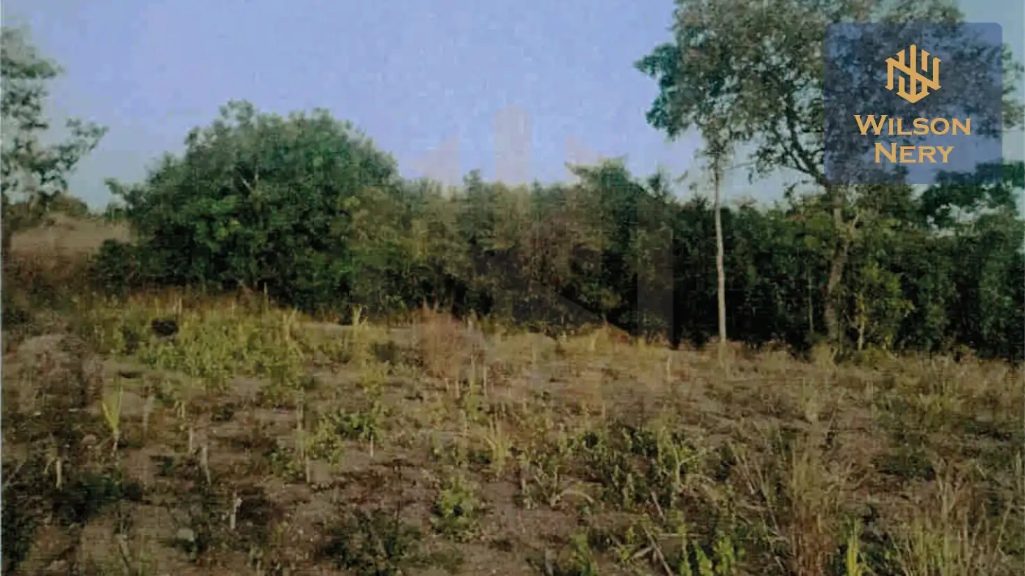 Corumba9